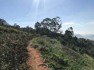 Land for Sale with House Haldummulla