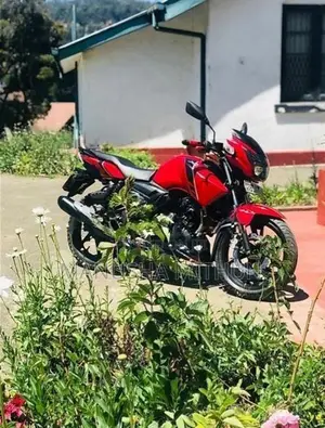 TVS Apache RTR 160 2019
