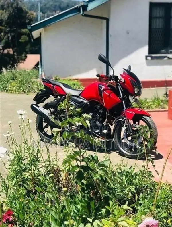TVS Apache RTR 160 2019