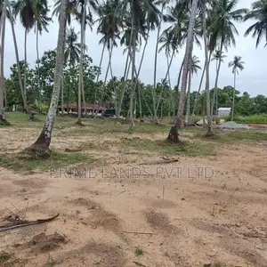 කුරුණෑගල පැල්ලන්දෙනිය හන්දියෙන්ම ඉඩමක් විකිණීමට