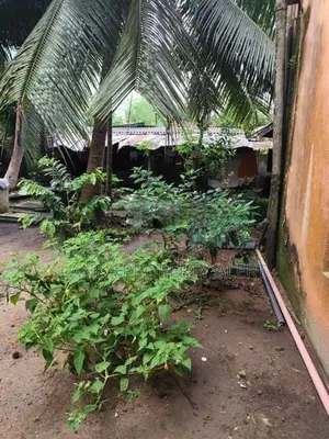 Two Storied House for Sale in Ja-Ela