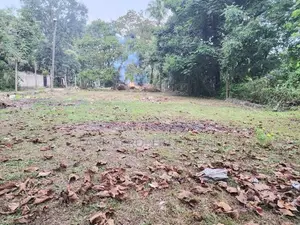 BTM676979: Land for Sale in Katunayake, Gampaha