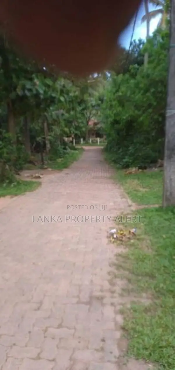 BTM676979: Land for Sale in Katunayake, Gampaha