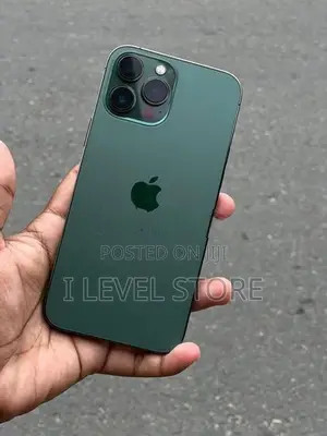 Apple iPhone 13 Pro Max 256GB (Used)