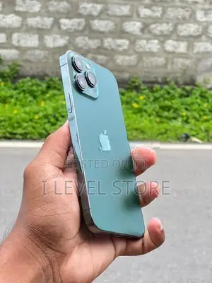 Apple iPhone 13 Pro Max 256GB (Used)