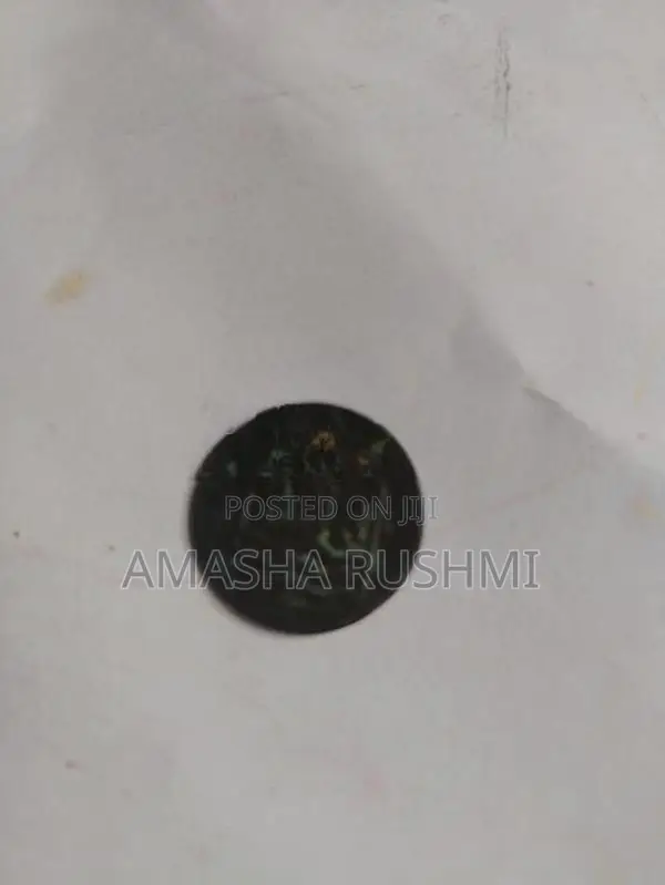 VOC Coin