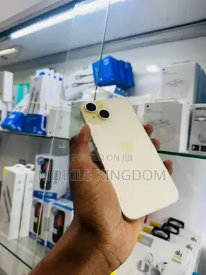 Apple iPhone 15 256GB Fullset Box (Used)
