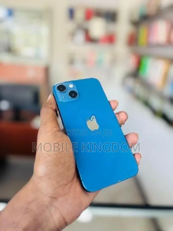 Apple iPhone 13 256GB (Used)