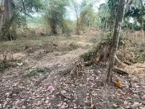 Residential Land for Sale in Malabe, Thunadahena