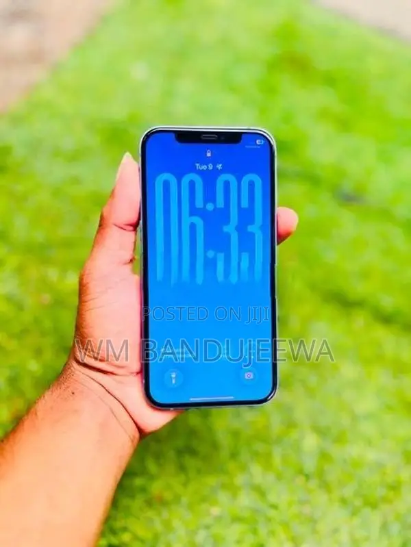Apple iPhone 12 (Used)