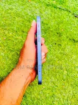 Apple iPhone 12 (Used)