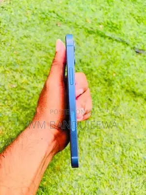 Apple iPhone 12 (Used)