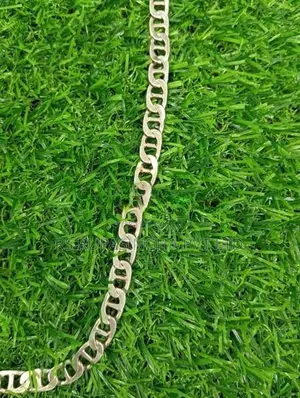 Silver Chain