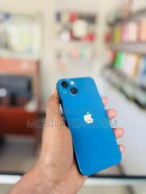 Apple iPhone 13 256GB (Used)