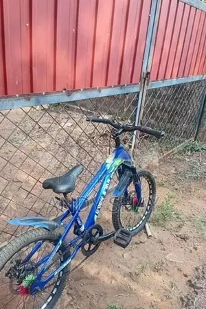 Bicycle