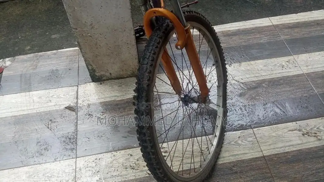 Mountain Bicycle