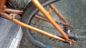 Mountain Bicycle