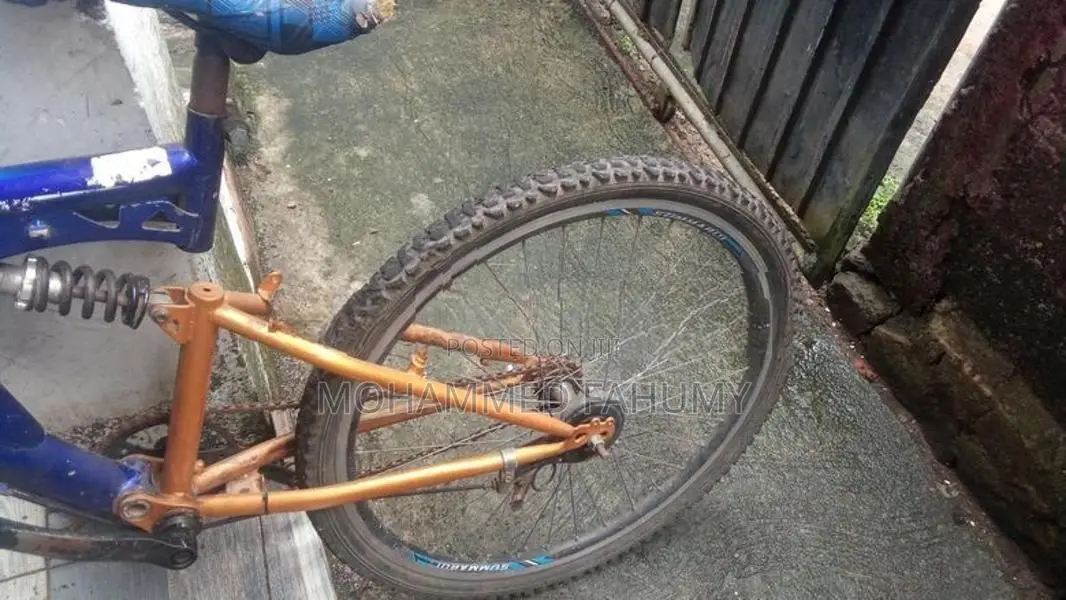 Mountain Bicycle