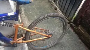 Mountain Bicycle