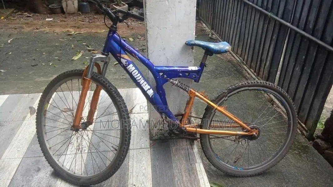Mountain Bicycle