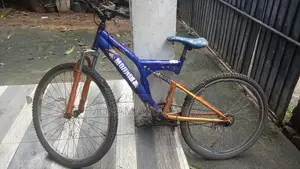 Mountain Bicycle