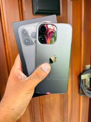 Apple iPhone 13 Pro 256GB (Used)