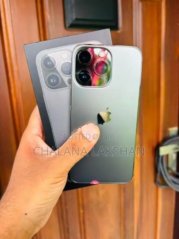 Apple iPhone 13 Pro 256GB (Used)