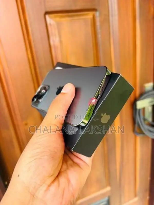 Apple iPhone 13 Pro 256GB (Used)