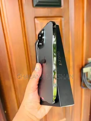 Apple iPhone 13 Pro 256GB (Used)