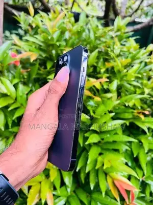 Apple iPhone 14 Pro (Used)