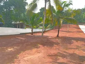 Paddy Field Face Land for Sale in Dambadeniya, Giriulla M06
