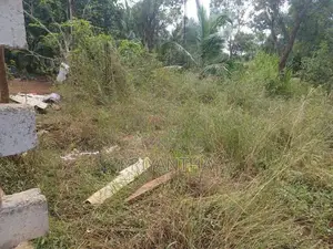 ඉඩමක් සමග නිවස විකිණීමට තණමල්විල