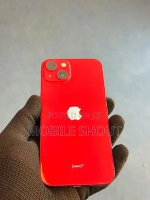 Apple iPhone 13 128GB (Used)