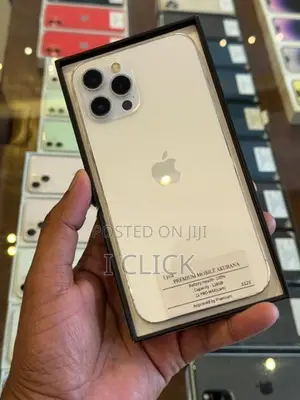 Apple iPhone 12 Pro Max 128GB (Used)