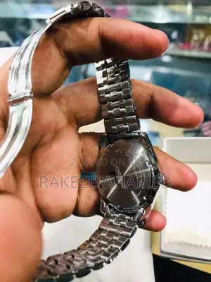 Sieko Watch