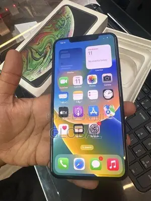 Apple iPhone XS Max 256GB (Used)