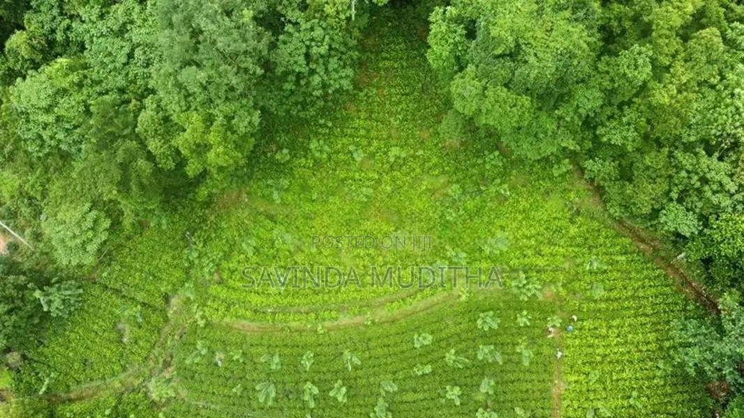 Land for Sale in Ginigathhena