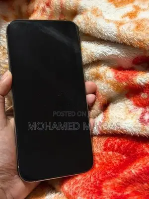 Apple iPhone 15 Pro Max (Used)