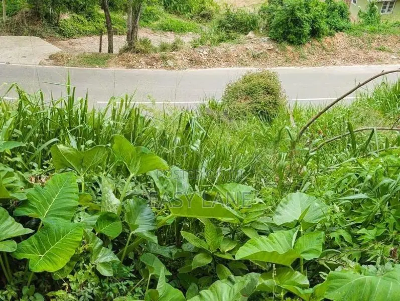 බණ්ඩාරවෙල ඉඩමක්
