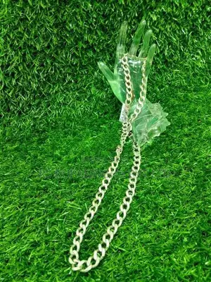 Silver Chain