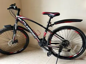 Lumala Senior Bicycle