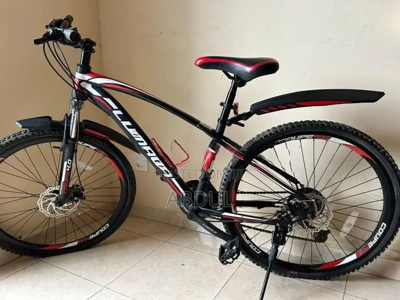 Lumala Senior Bicycle