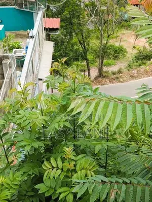 බණ්ඩාරවෙල ඉඩමක්