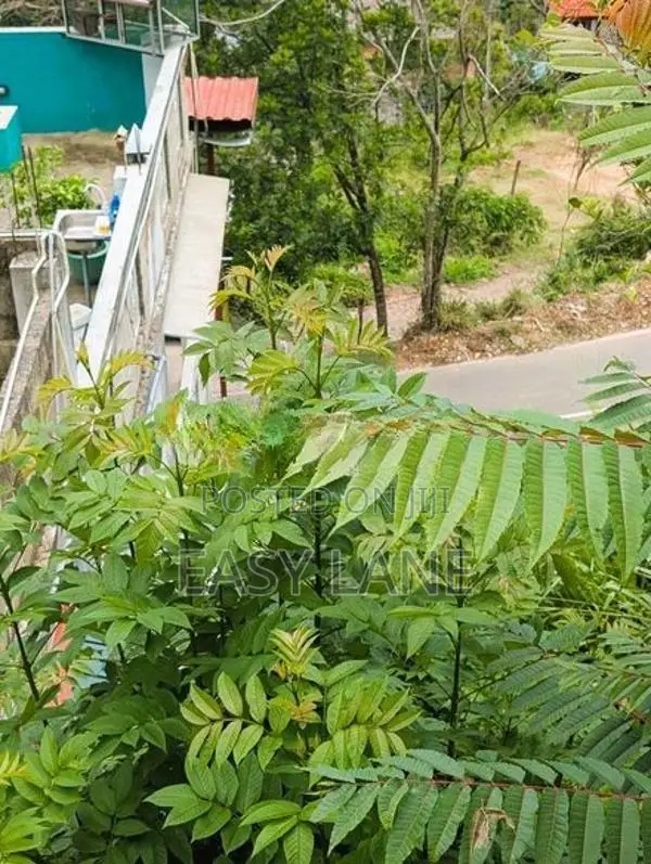 බණ්ඩාරවෙල ඉඩමක්