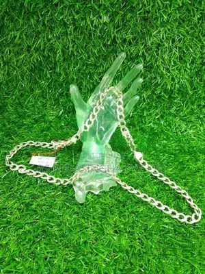 Silver Chain
