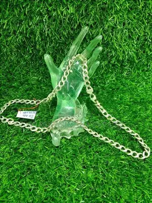 Silver Chain