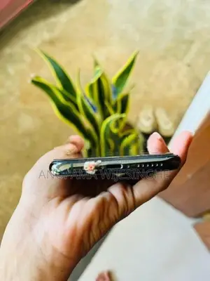 Apple iPhone 11 Pro (Used)