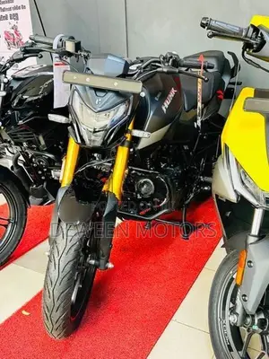 Hero Hunk 160R Brand New 2026