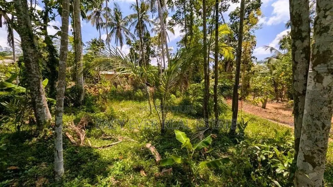 යක්කල නෙල්ලිගහමුල පර්චස් 24 ඉඩම විකිණීමට
