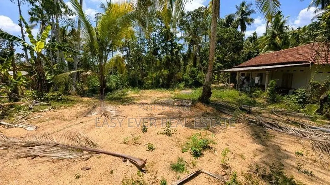 යක්කල නෙල්ලිගහමුල පර්චස් 24 ඉඩම විකිණීමට